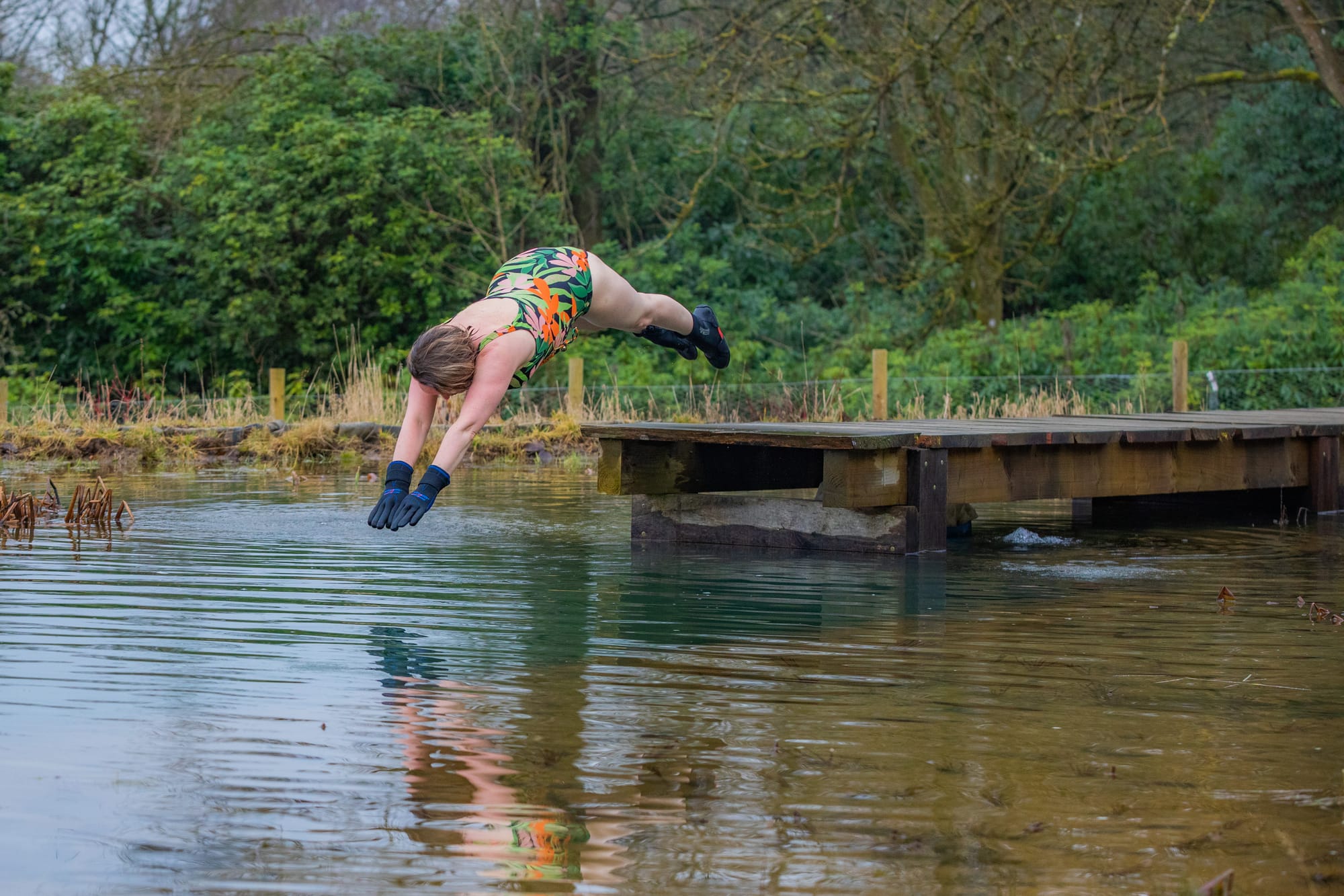 From a low pier, Rachel is diving into a pool of water. The water is dark, reflecting the trees and grass in the background.