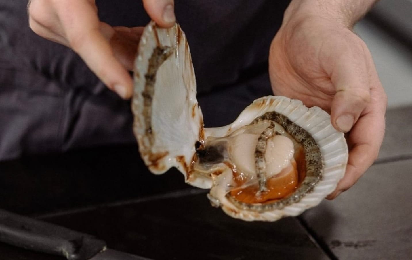 A scallop being shucked at The Three Chimneys