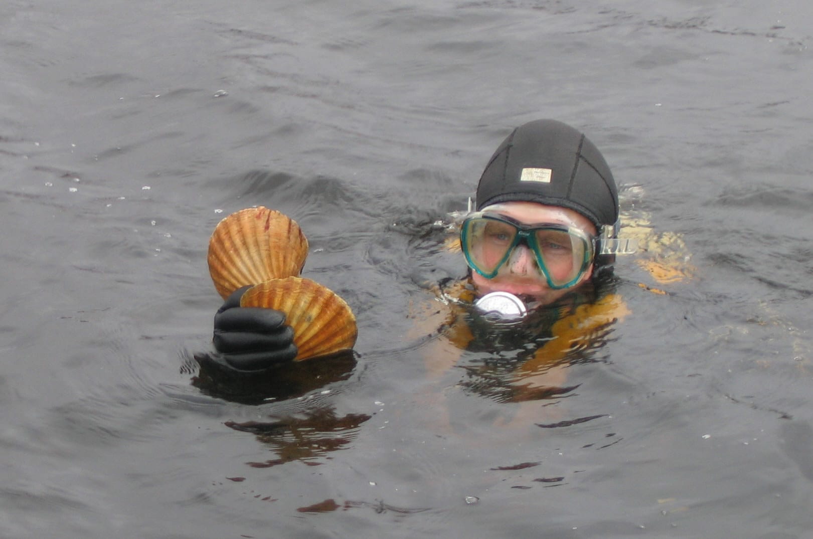David in dive gear and holding up two scallop shells Loch Sligachan
