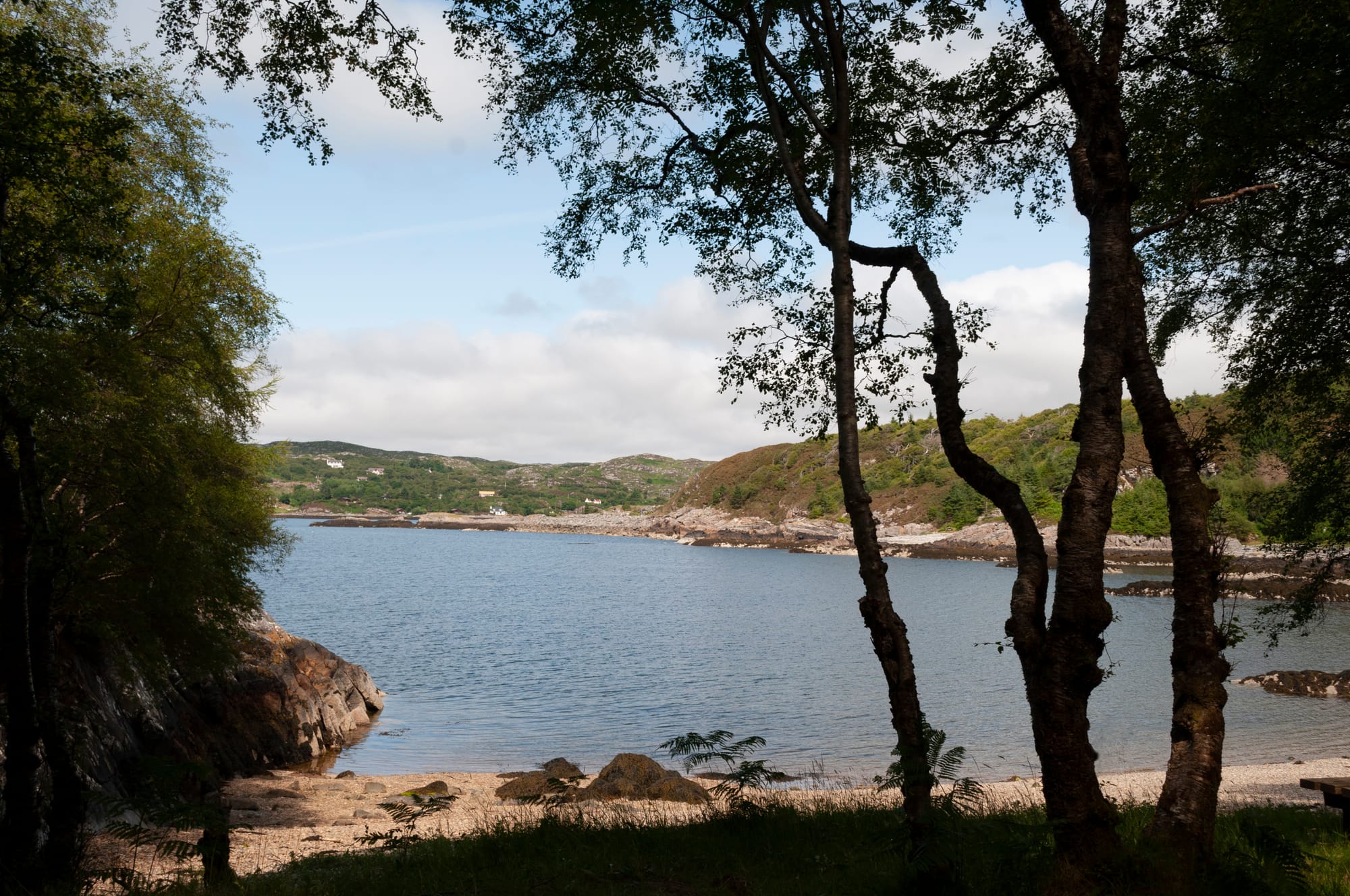Looking through the trees at a pale pebble beach out towards water.