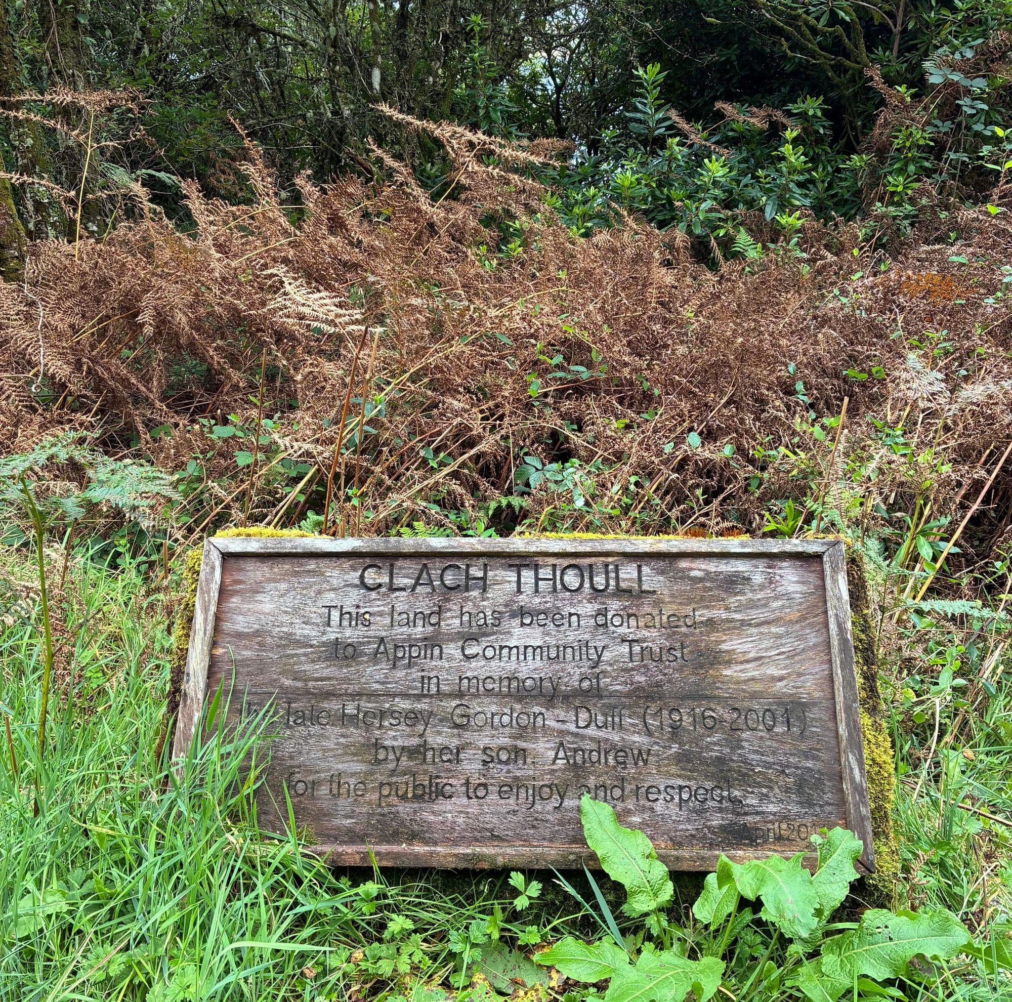 A faded wooden sign in the grass and ferns reading Clach Thoull, this land has been donated to Appin Community Trust in memory of the late Hersey Gordon by her son Andrew for the public to enjoy and respect.