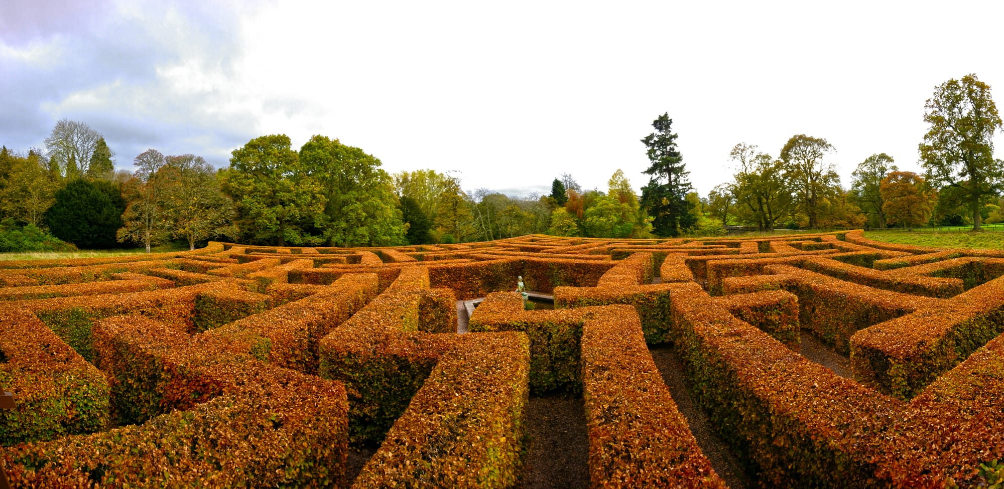 An immaculately maintained maze in autumnal colours.