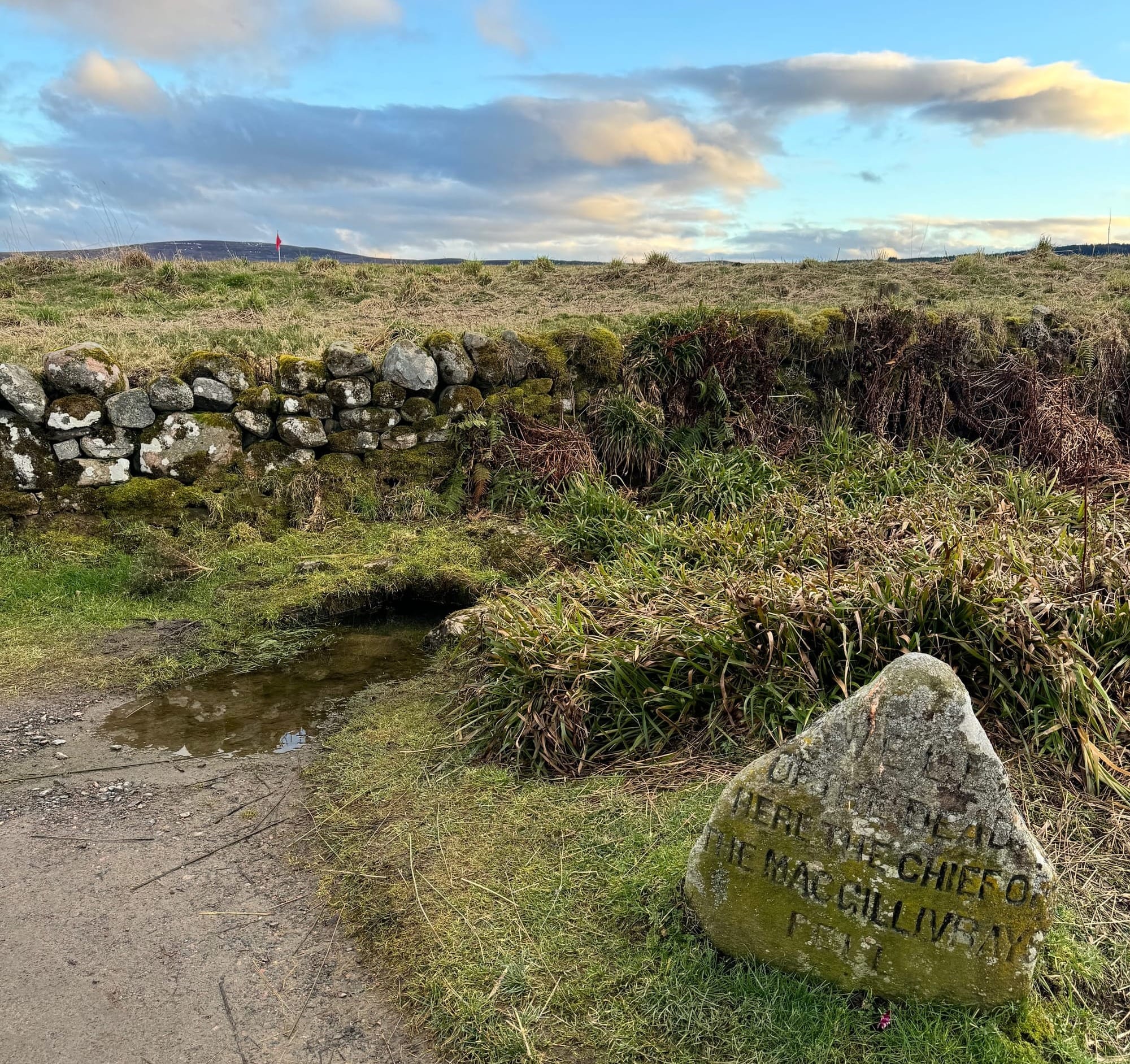 A stone marks the Well of the Dead, which looks like a boggy pond in amongst the grass.