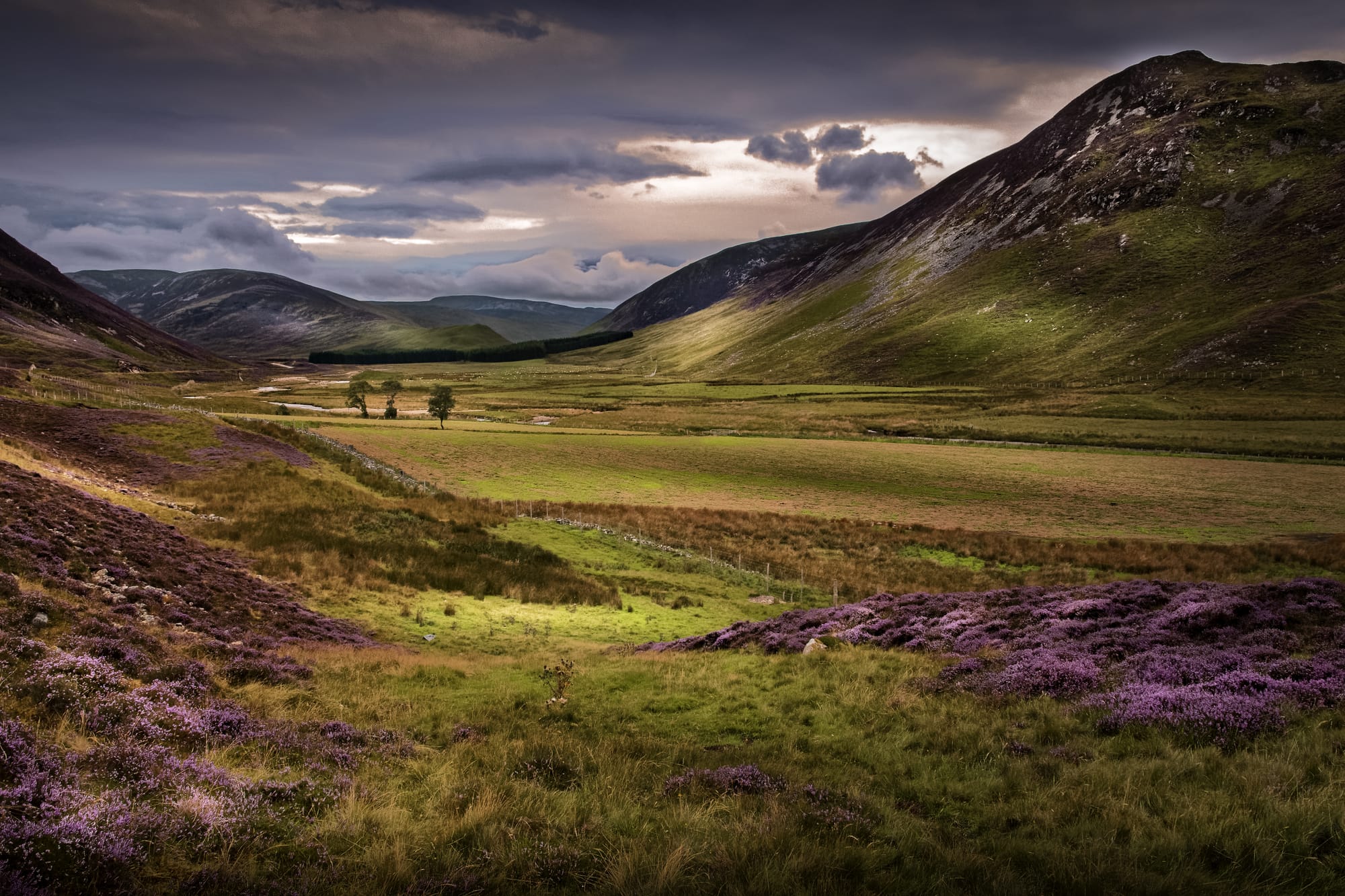 A green and purple glen with high hills on either side and a moody dusk sky.