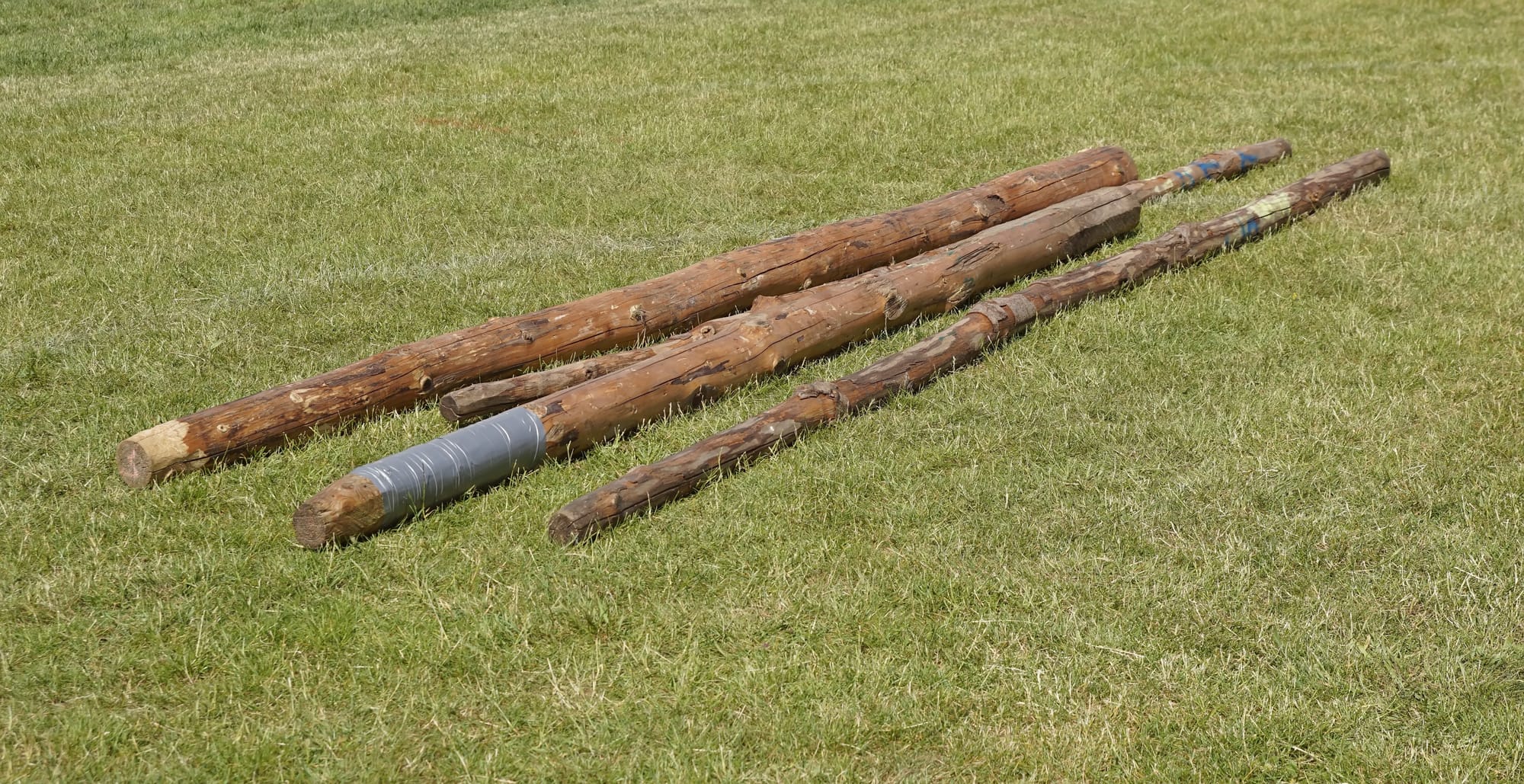 Three caber logs sitting in grass.