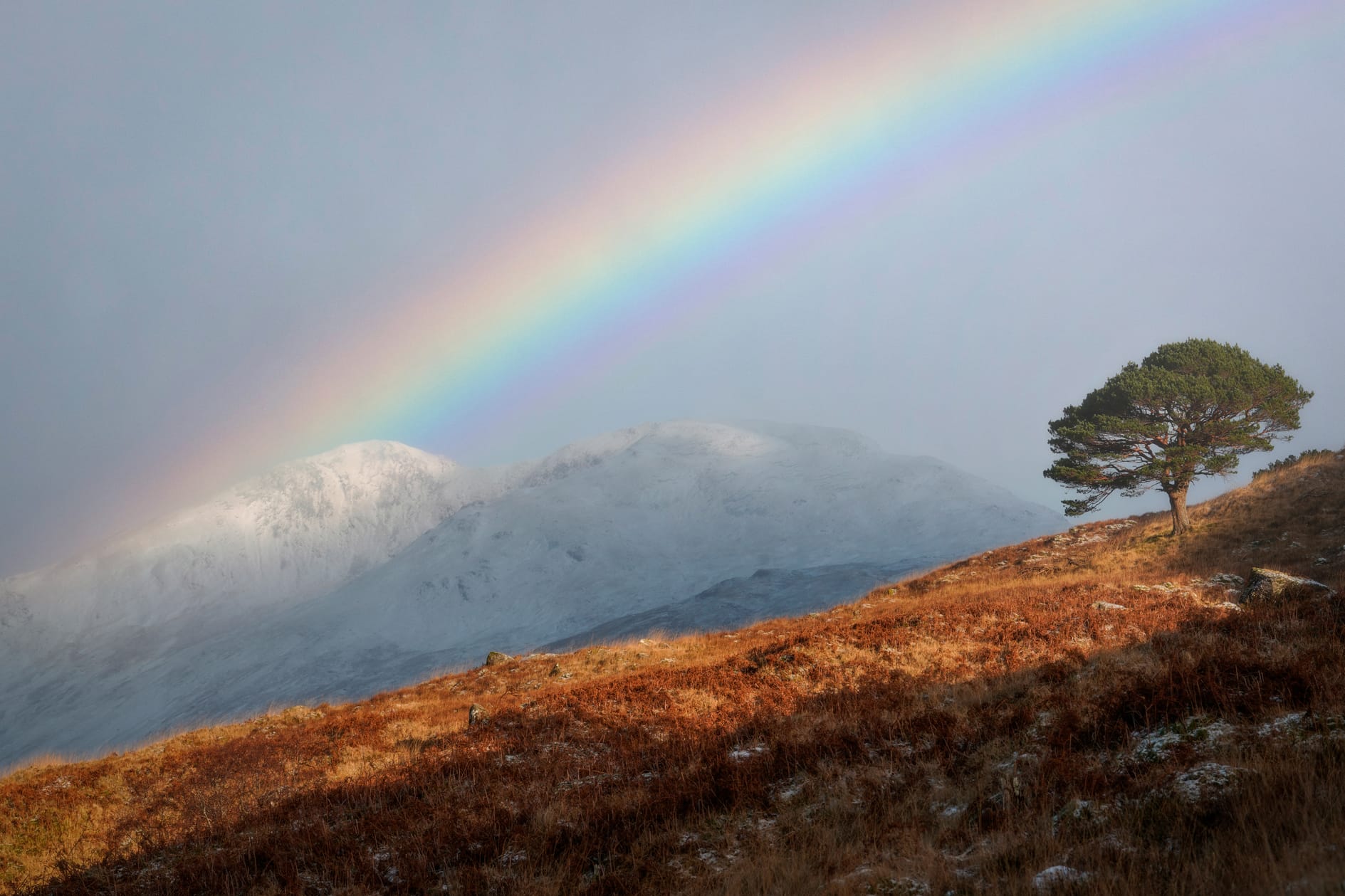 A rainbow over snowy hills in the distance.