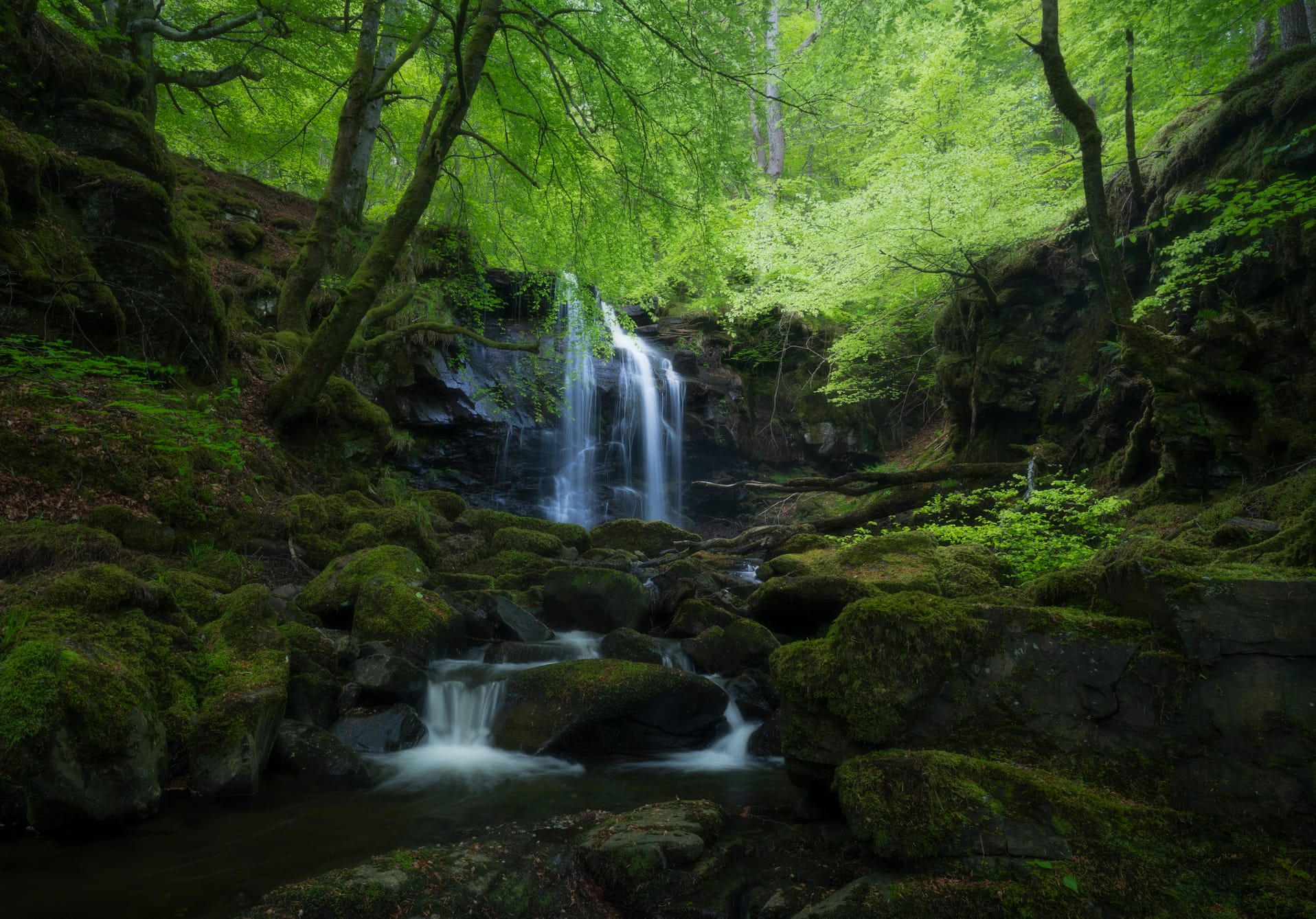 A waterfall through the woods.