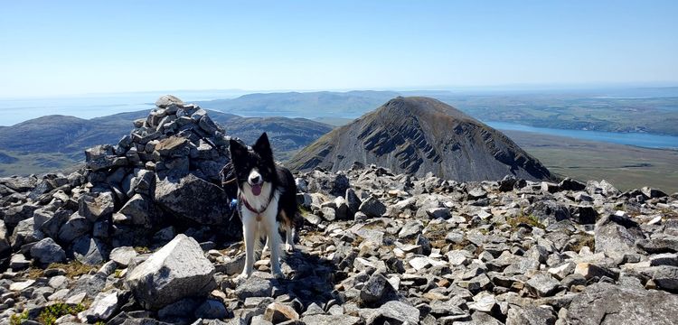 Storm the Border Collie standing atop the rocky Beinn an Oir. The sea is visible to the background.