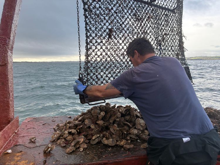Oysters, sea monsters and a brilliant weekend in Galloway