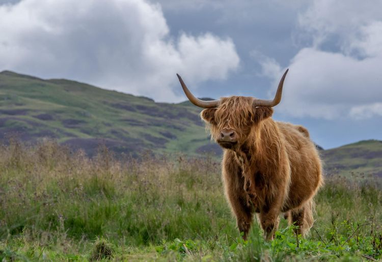 Scotland by the book: 5 literary landscapes to explore