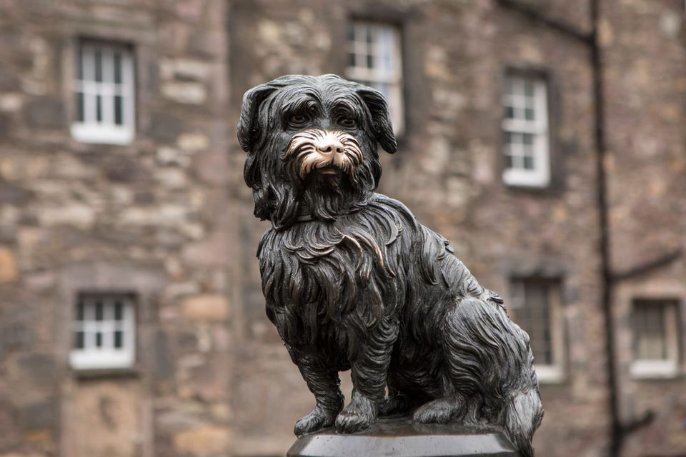 The statue of Greyfriars Bobby in Edinburgh.