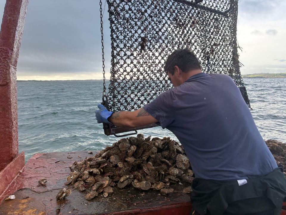 Oysters, sea monsters and a brilliant weekend in Galloway