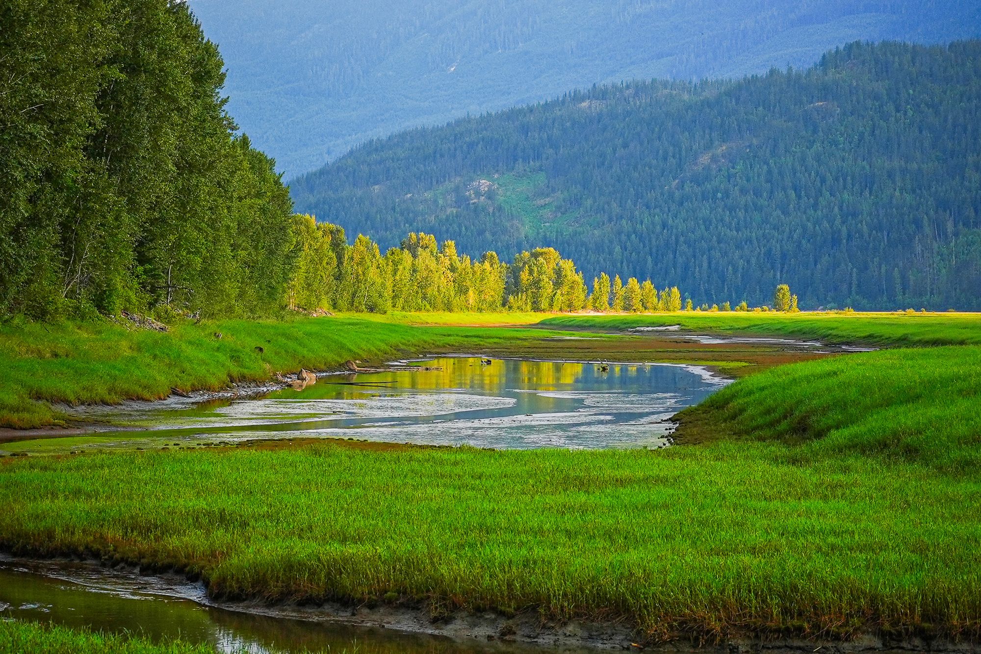 Upper Columbia River