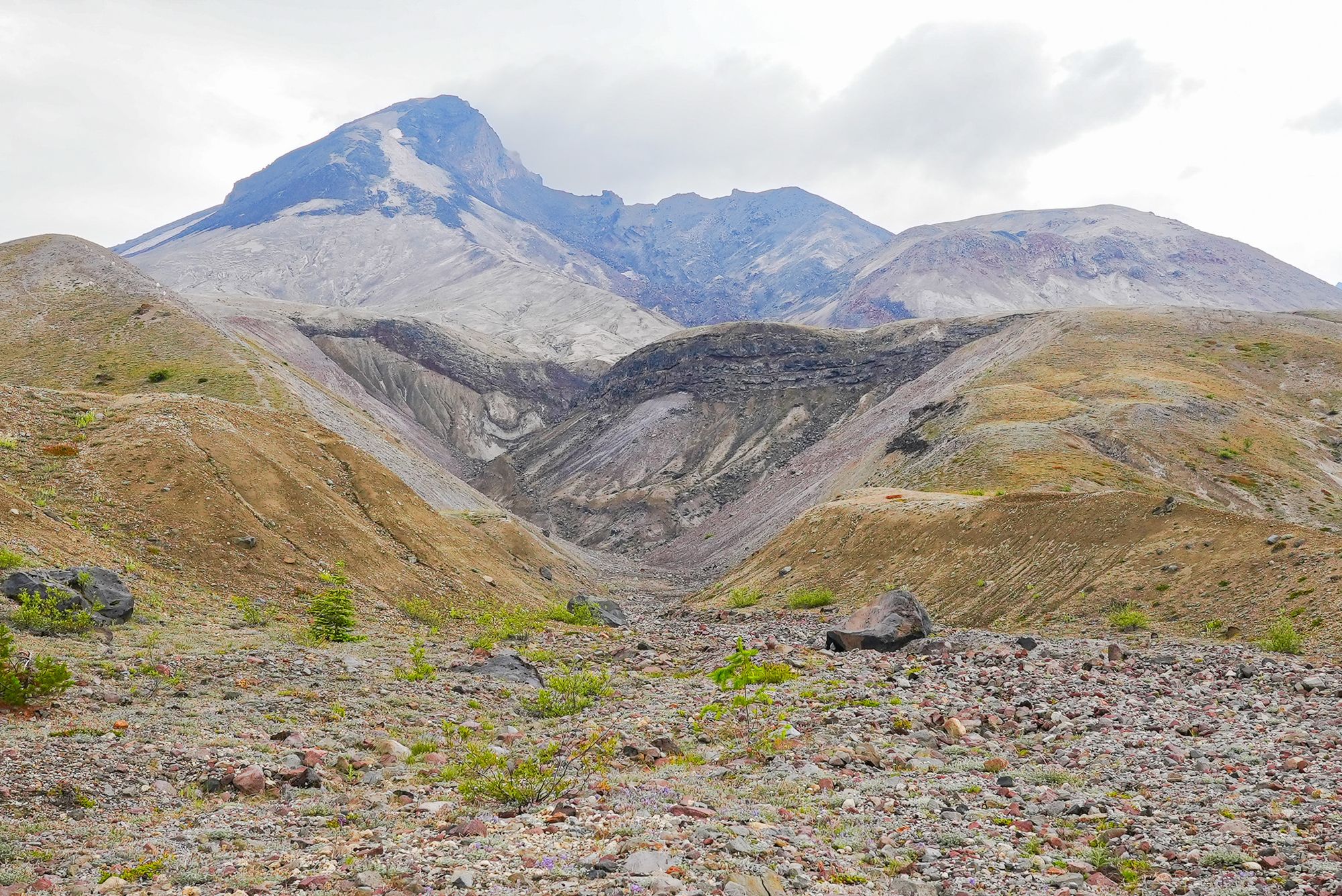 Mount St. Helens blast zone