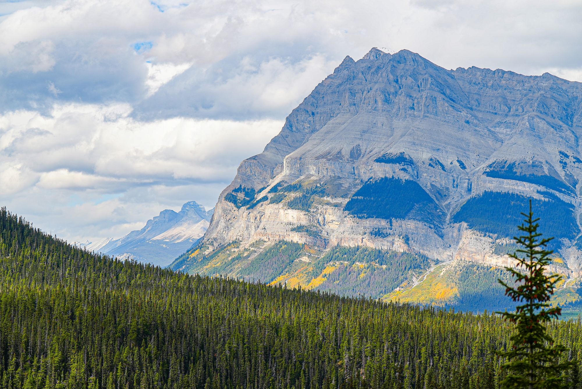 Jasper National Park
