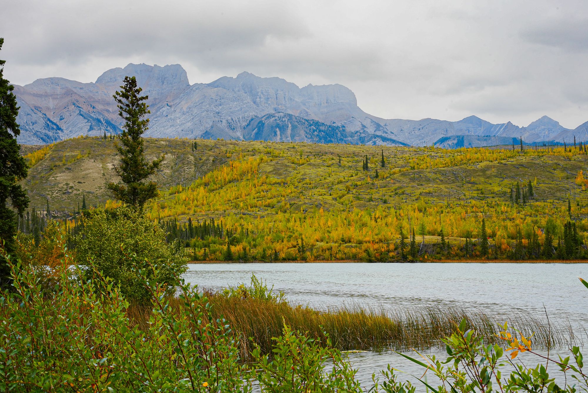 Jasper National Park