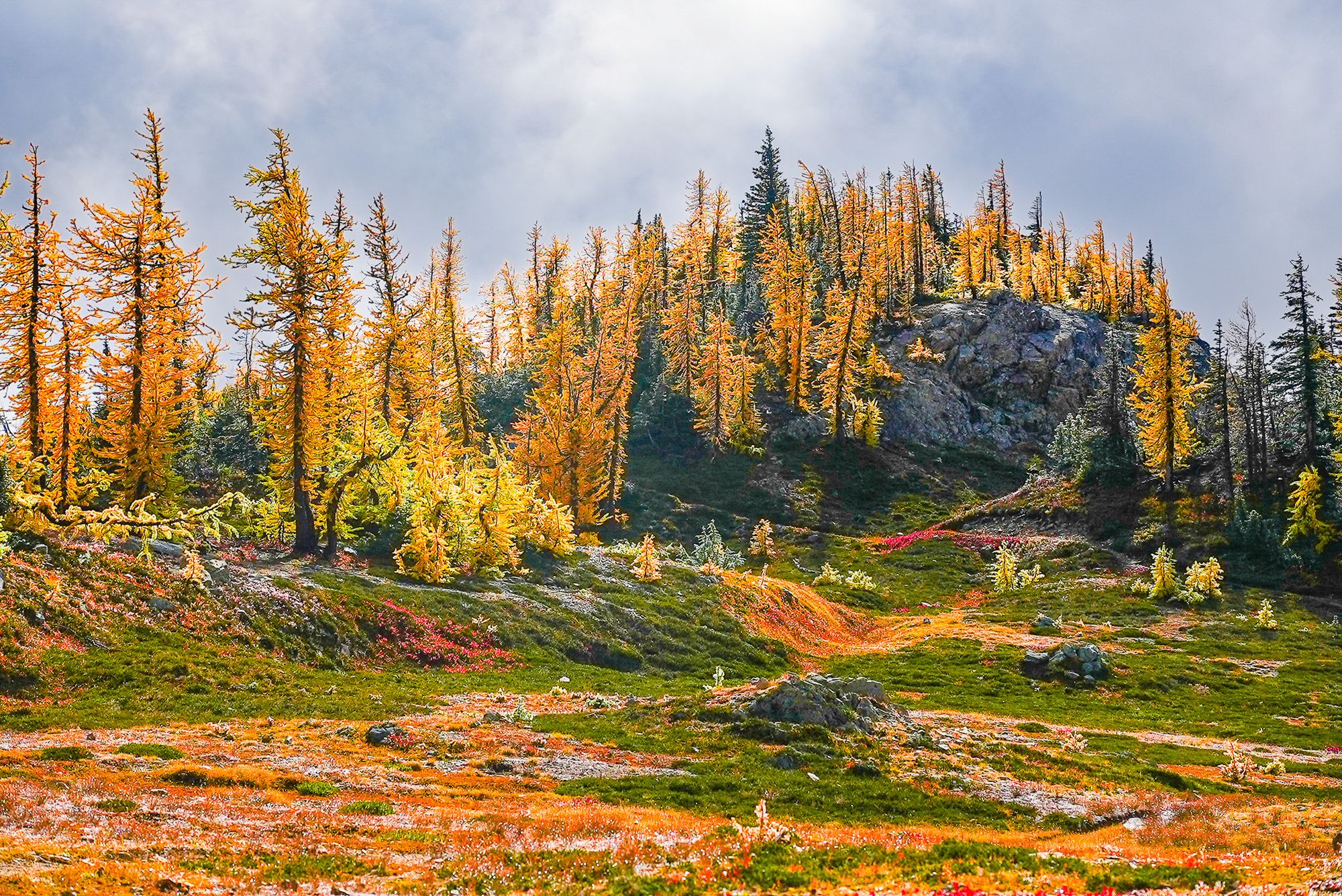 fall colors in the mountains