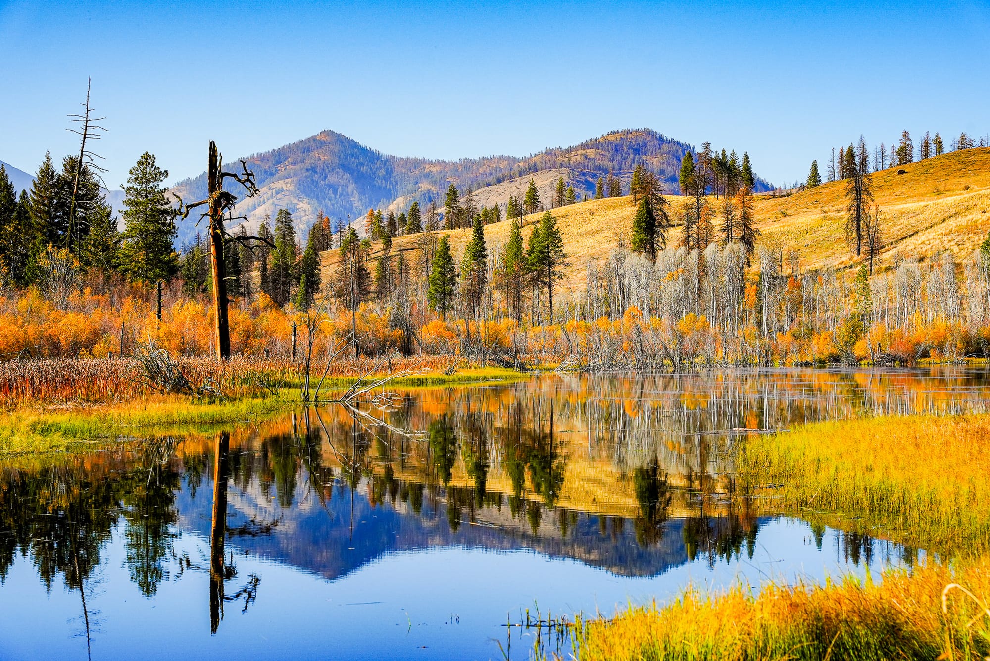 autumn light on a lake