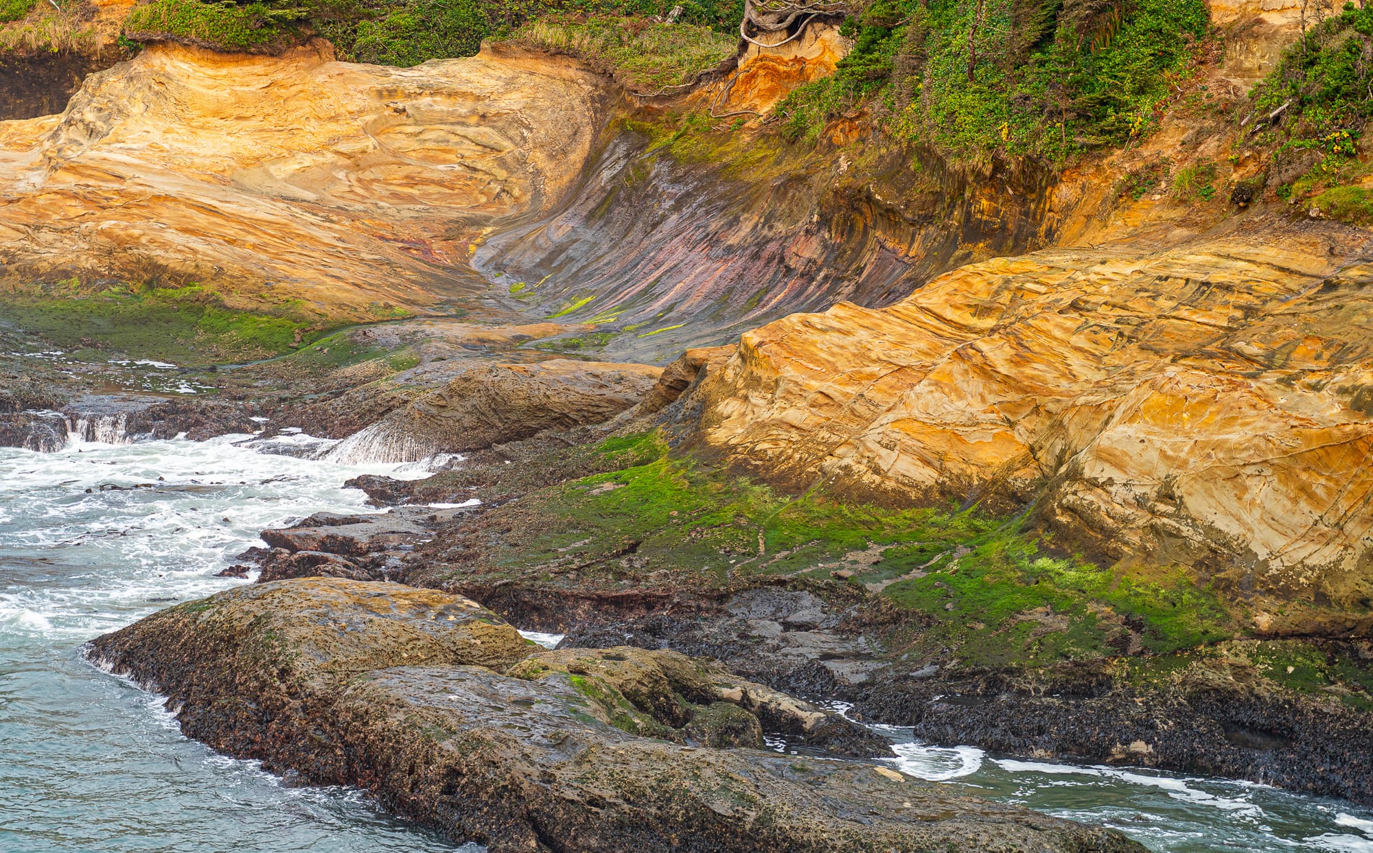 seashore surf and rocks