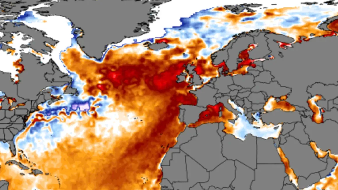 warming ocean temperatures