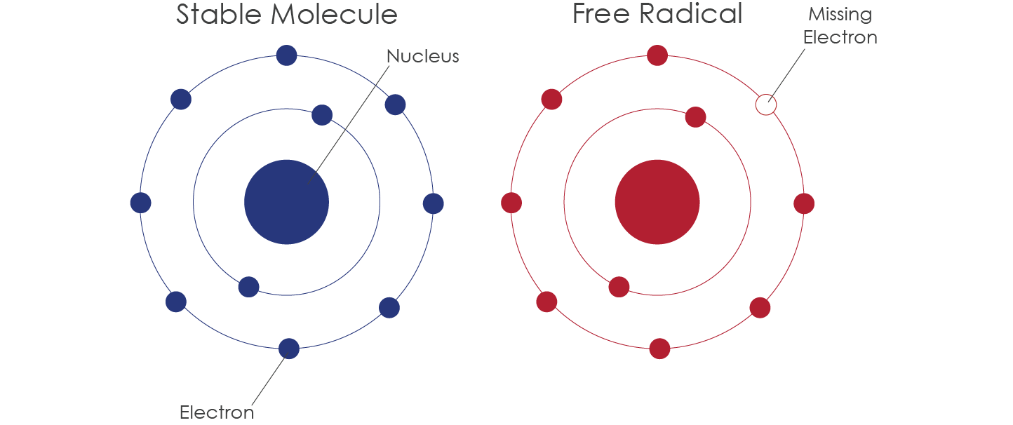 free radical