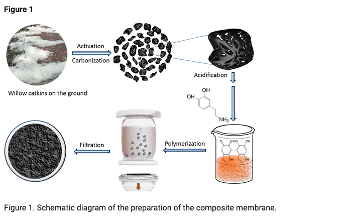 turning catkins into membrane