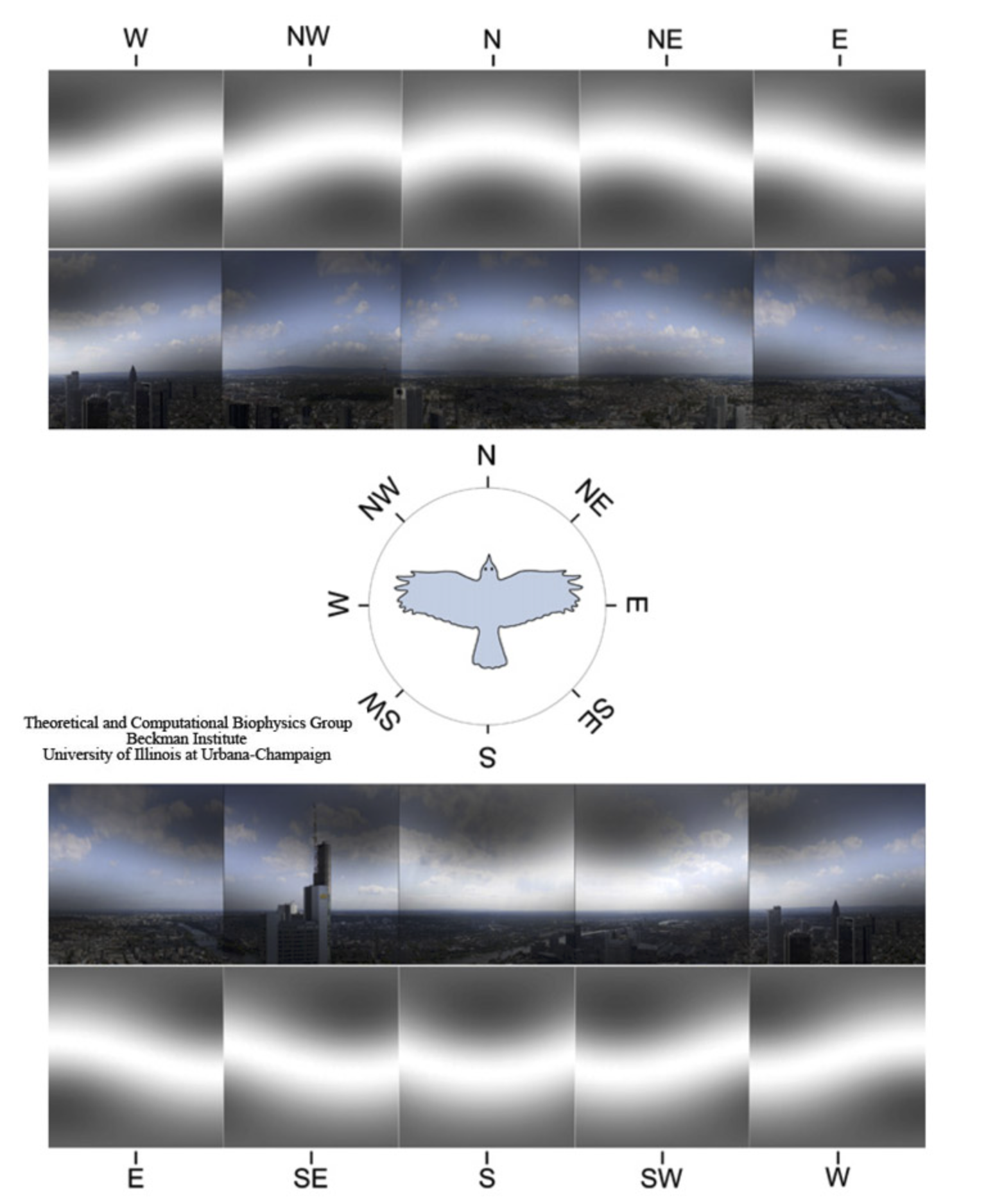 seeing the magnetic field
