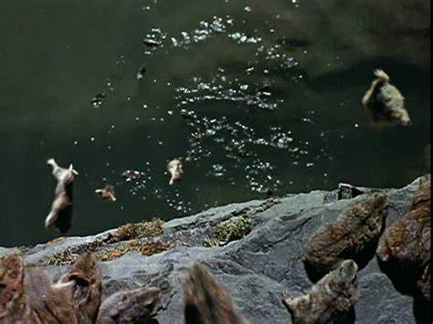 lemmings jumping off cliff