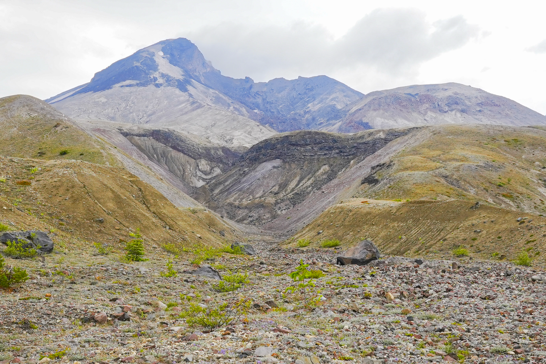 Mt St Helens