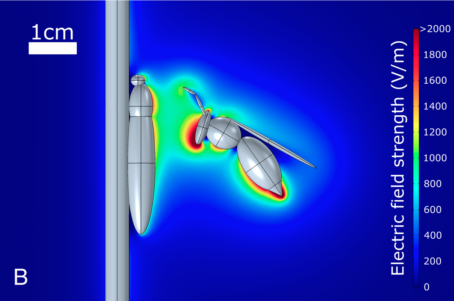 Illustration of electric field of approaching wasp