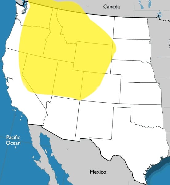 range of arrowleaf balsamroot