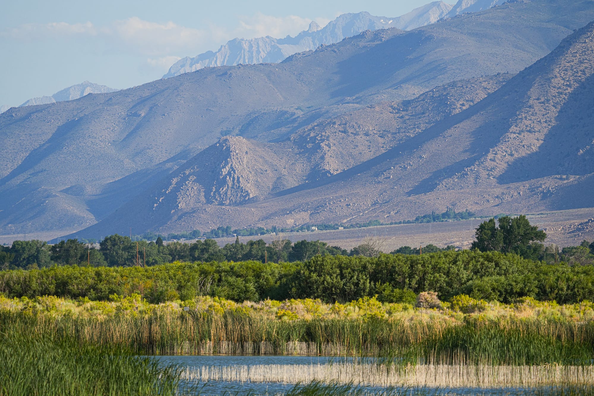 eastern Sierra Nevada