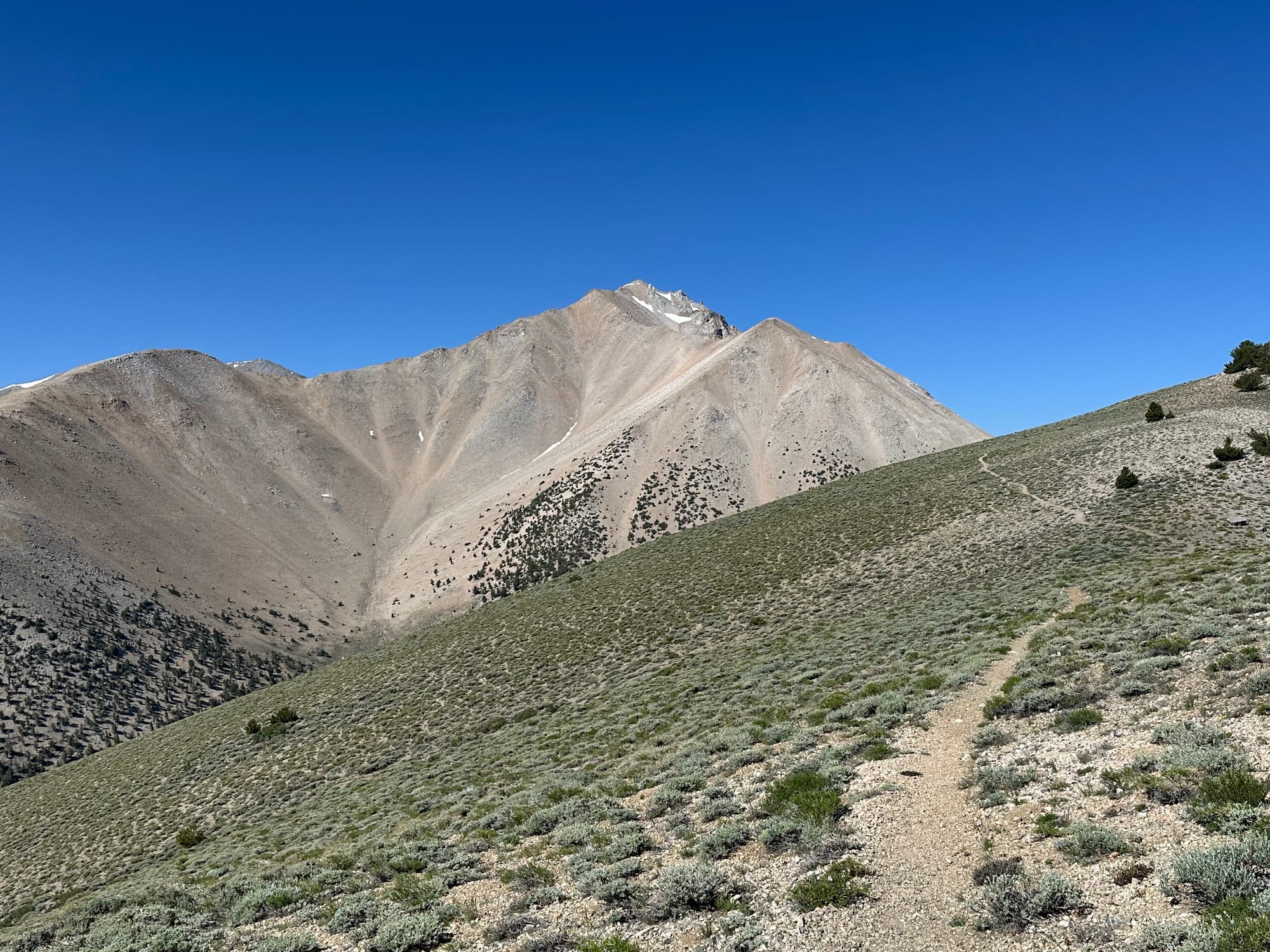 trail to Boundary Peak
