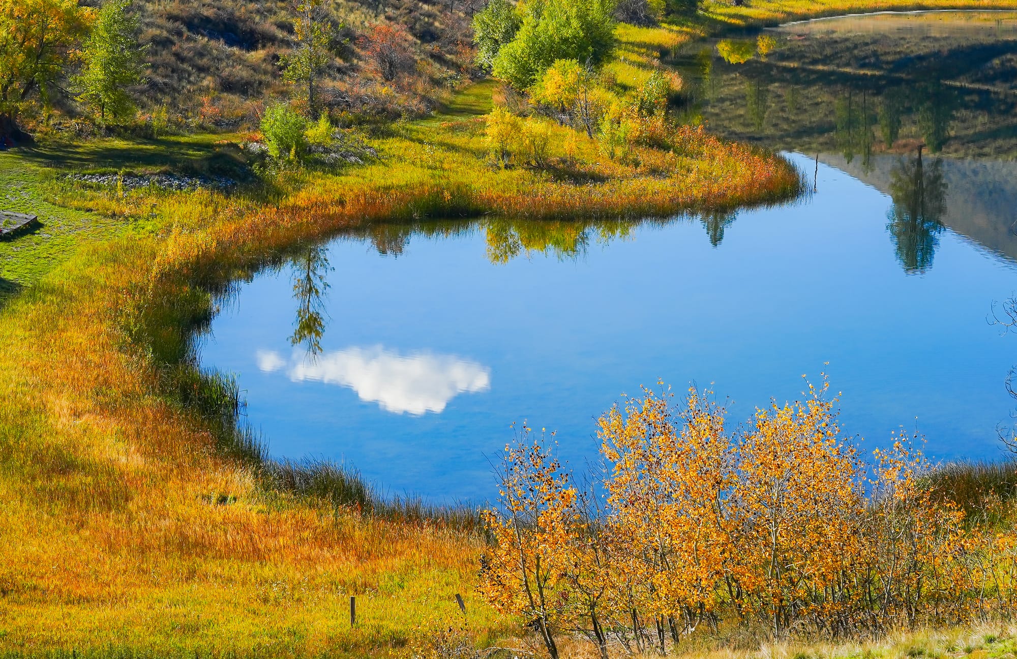 reflection of fall colors
