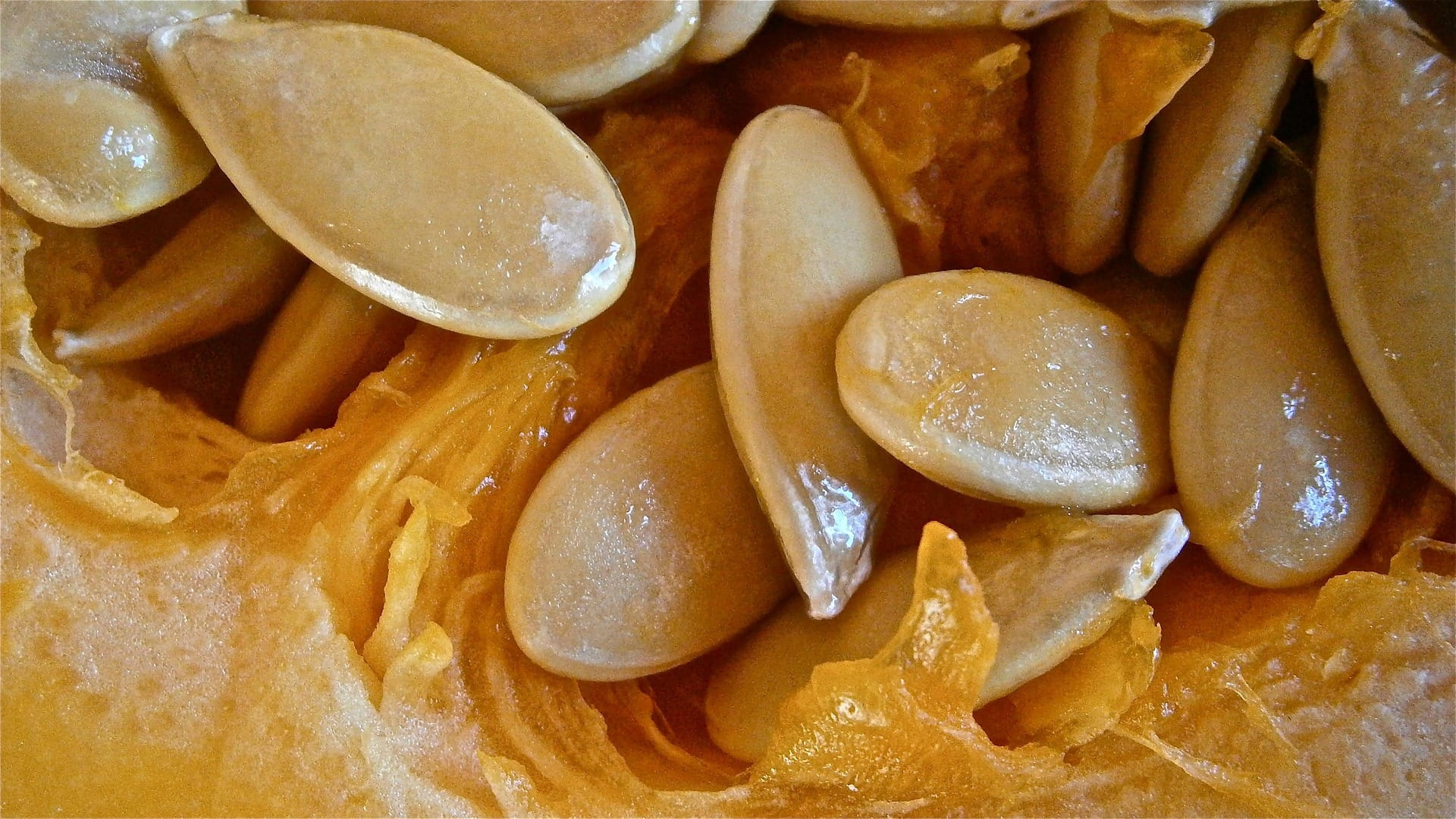 pumpkin seeds