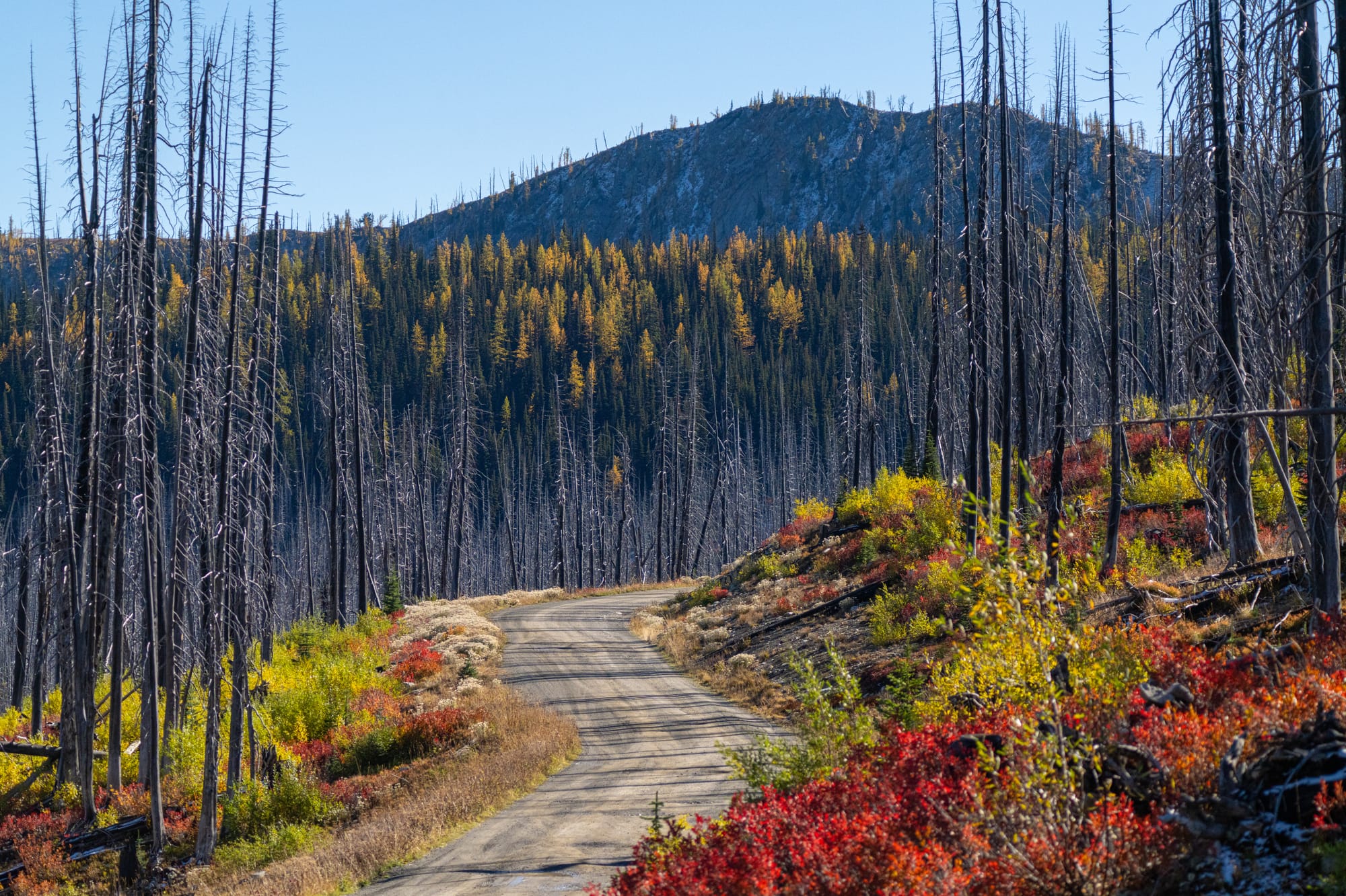road in the mountains