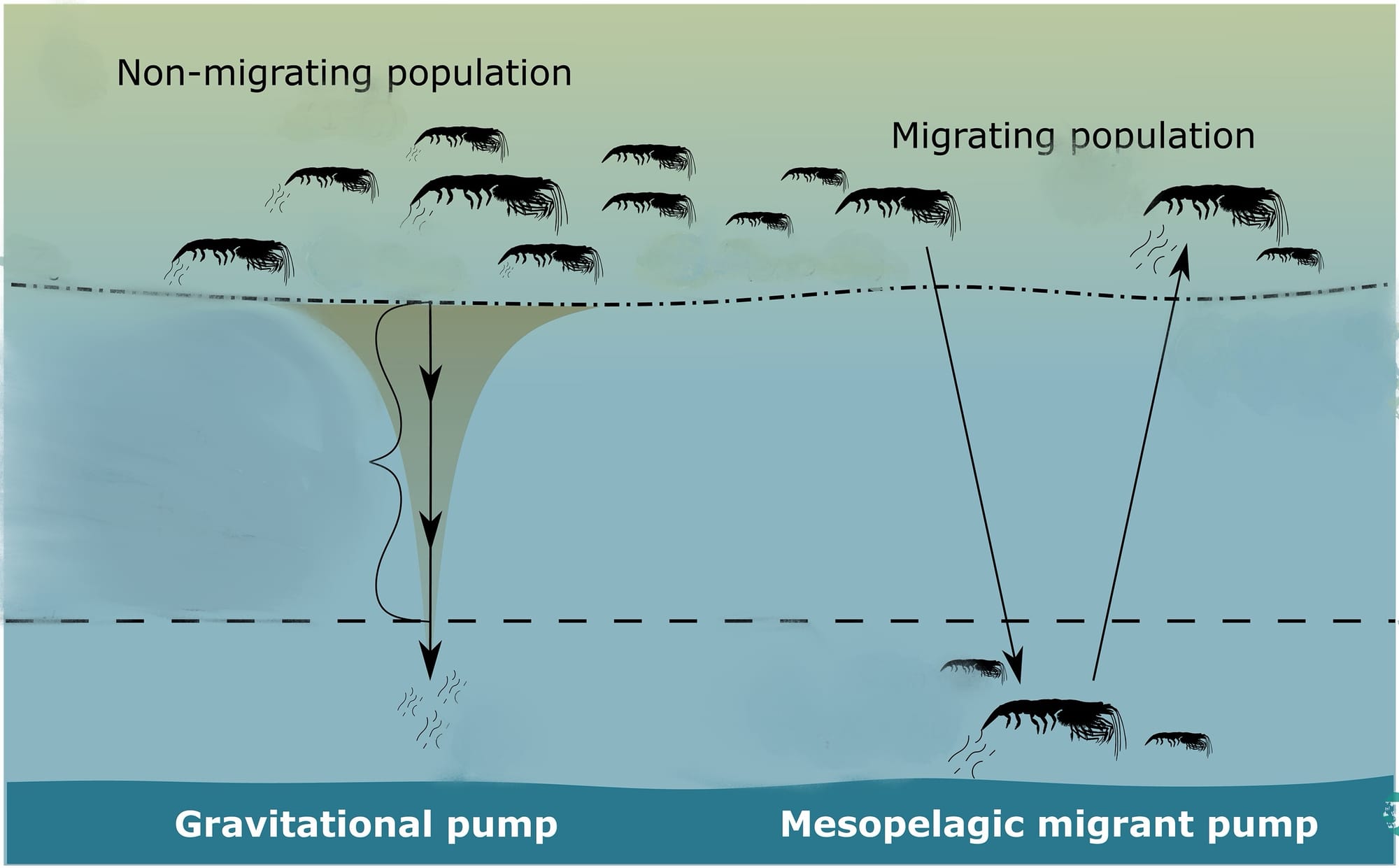 graphic of migrant pump