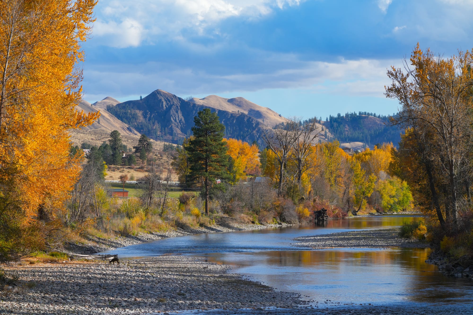 river with fall colors