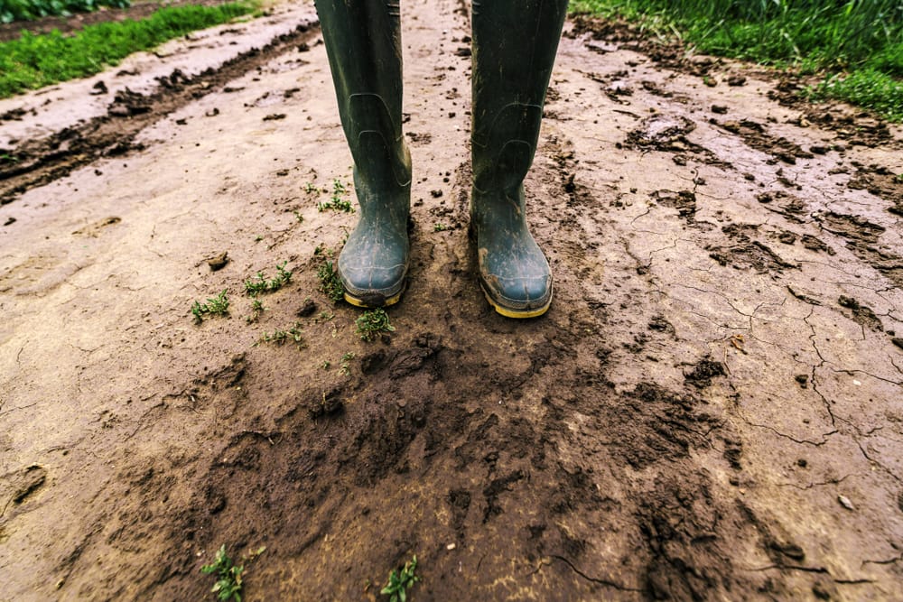 slipper path