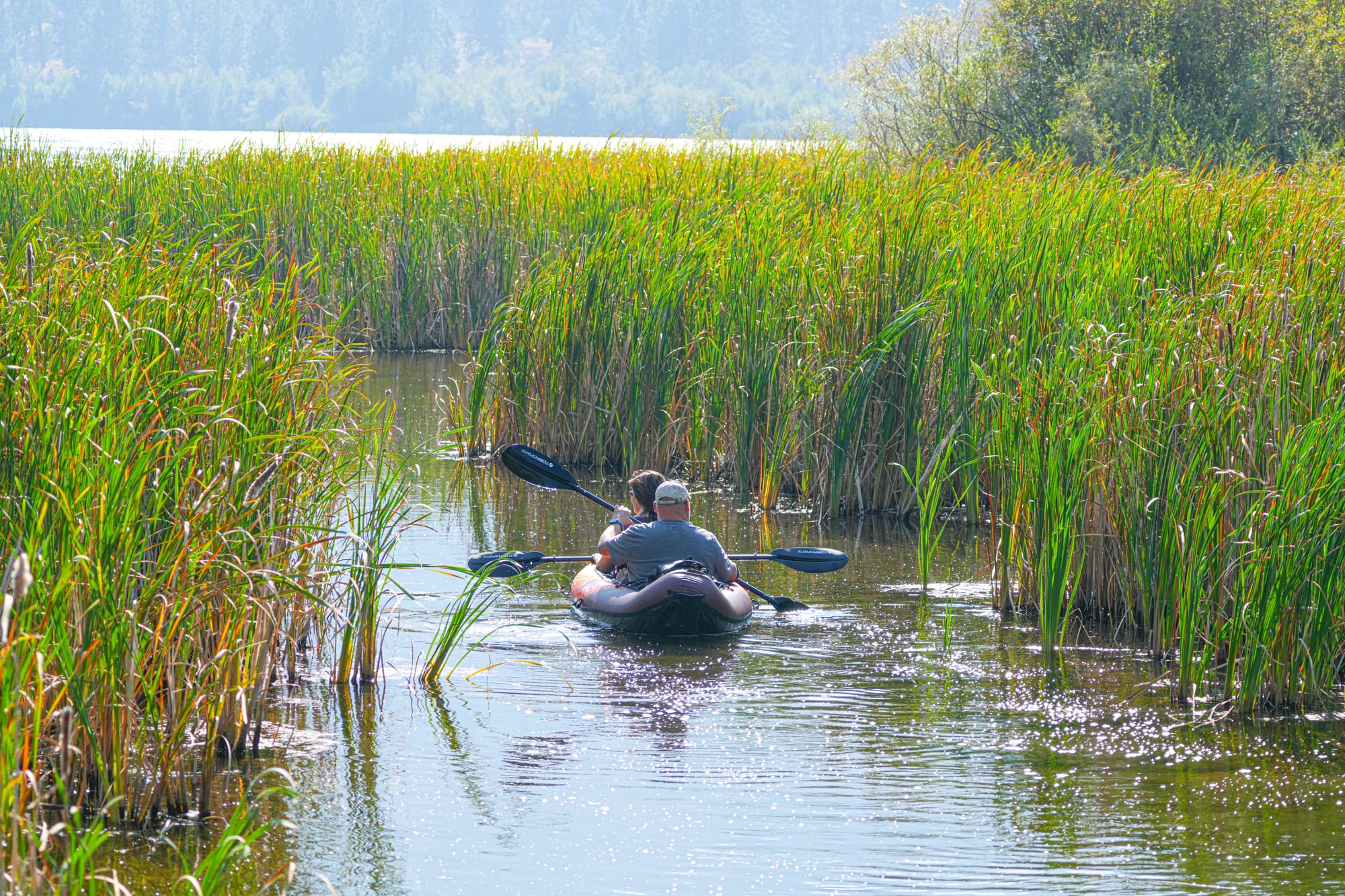people kayaking