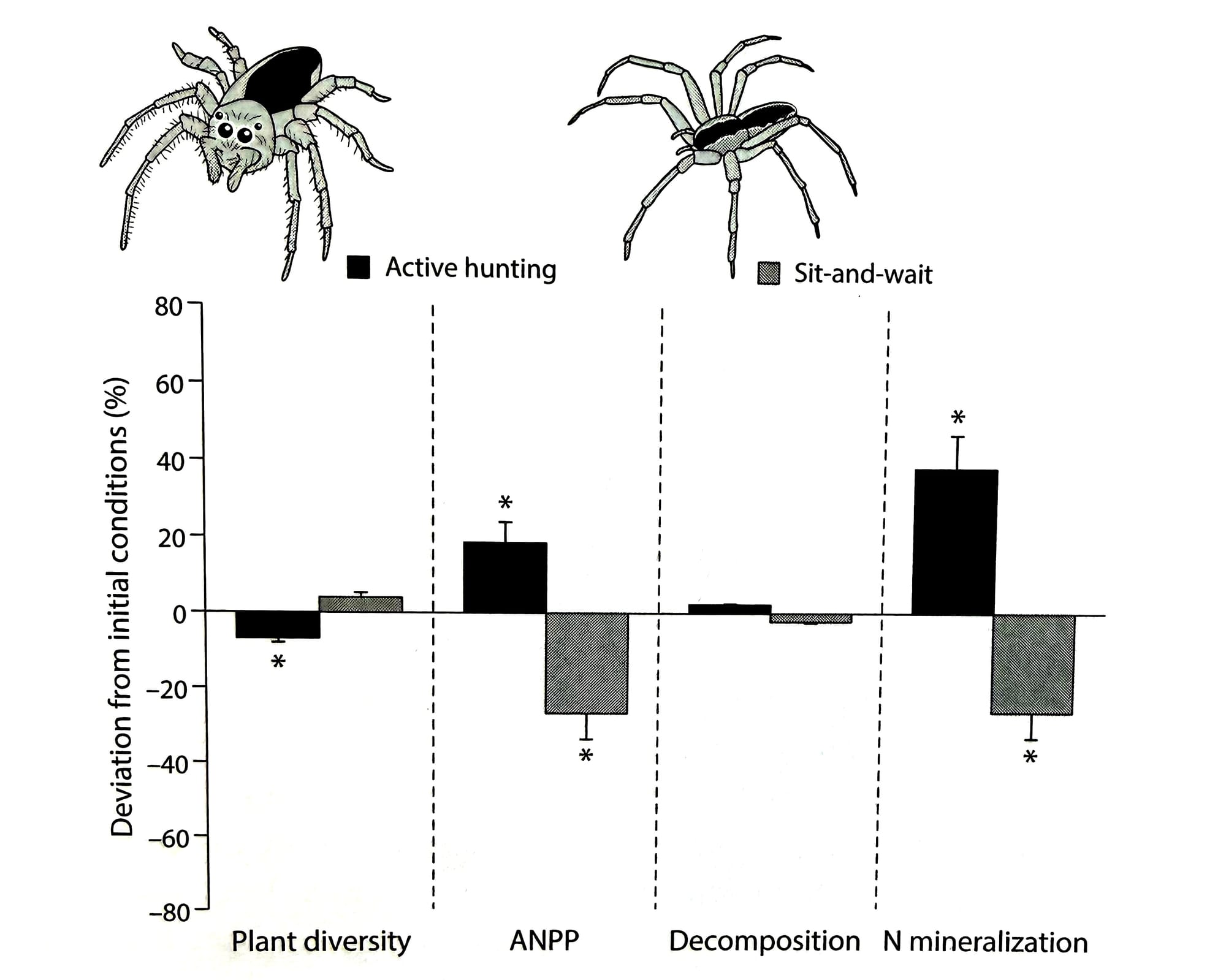 graph of the impact that spiders have