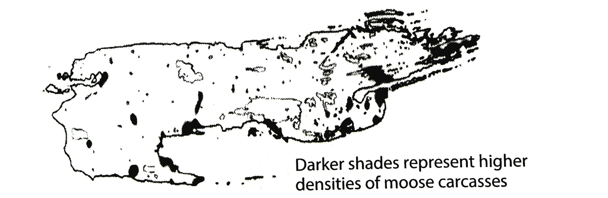 map of moose carcasses