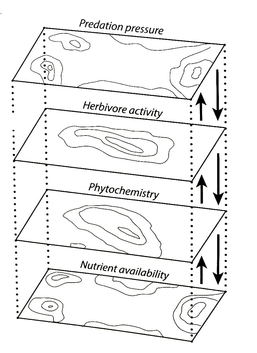 graph of the phytochemical landscape
