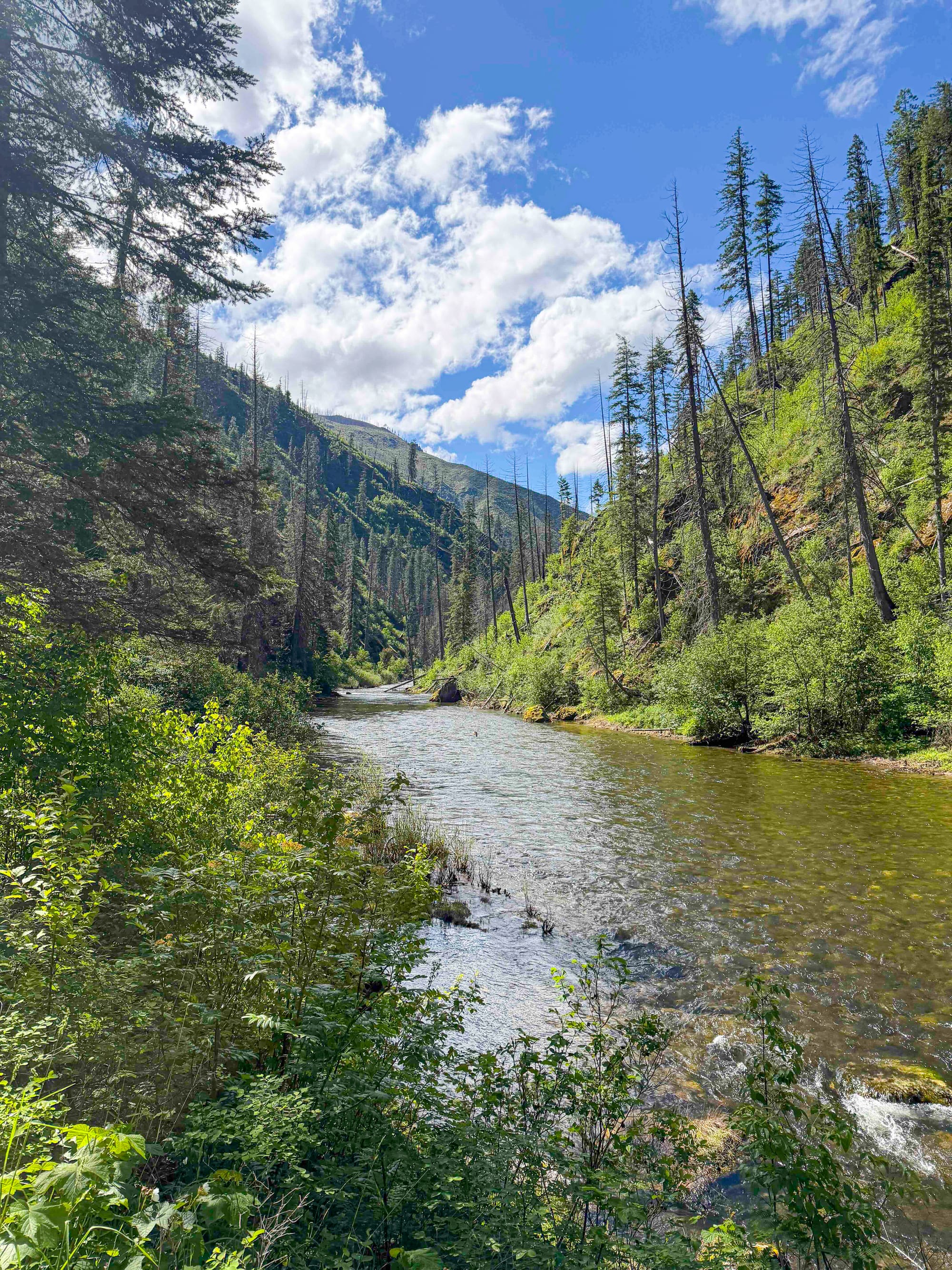 Selway-Bitterroot Wilderness