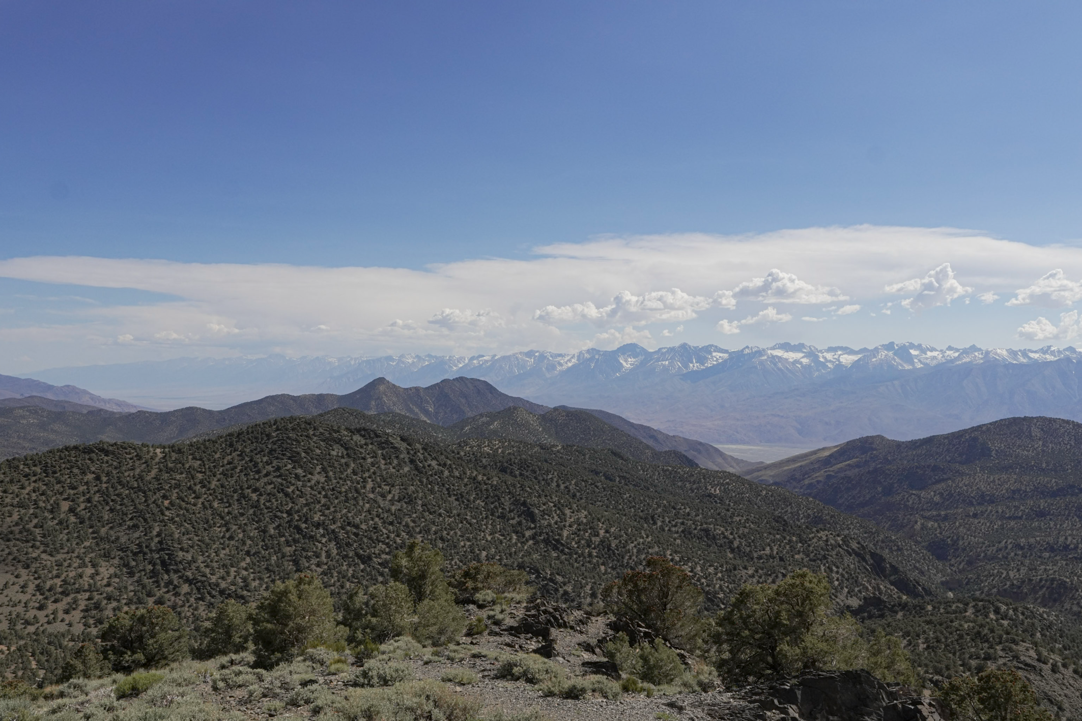 Sierra Nevada