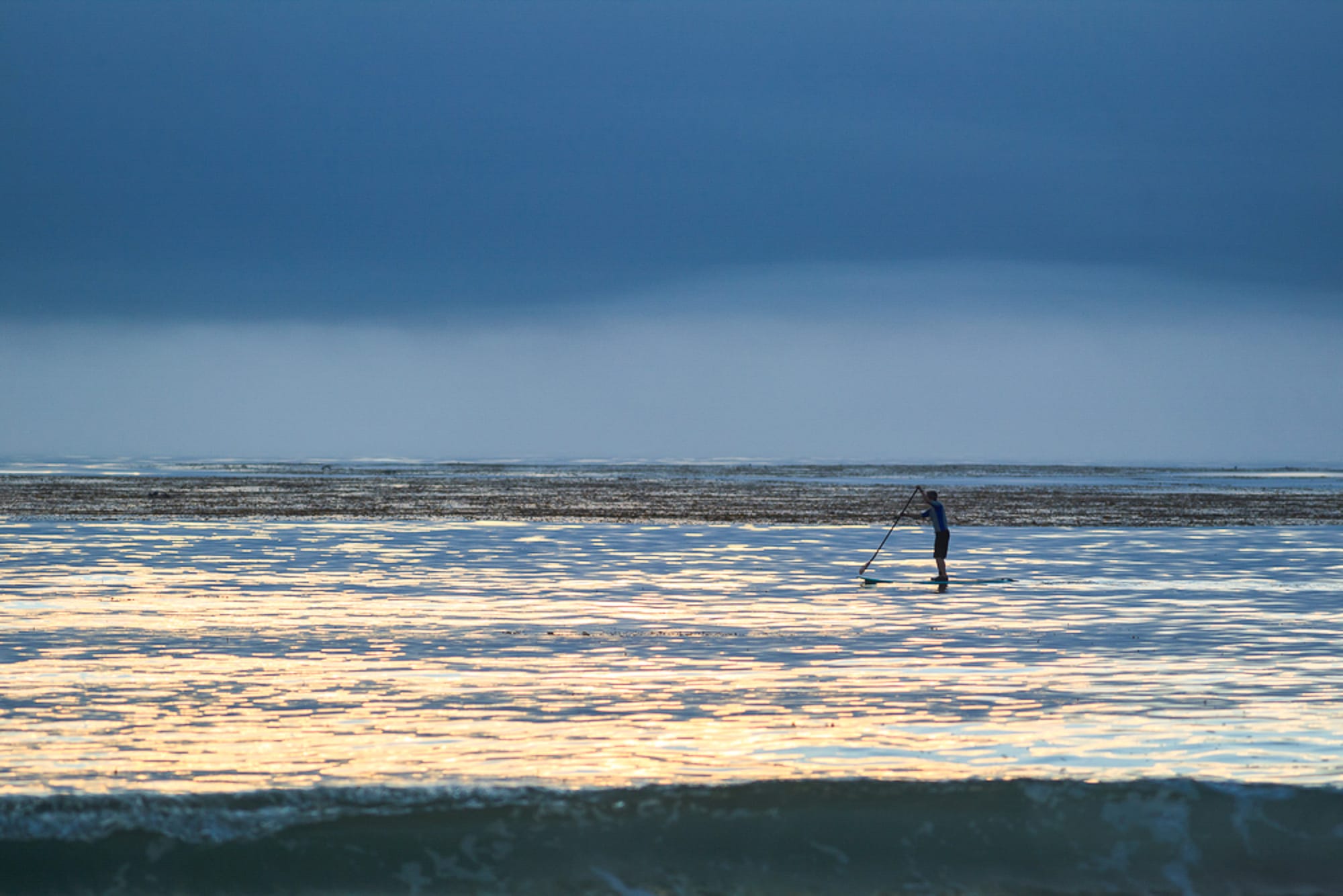 paddleboarding near kelp