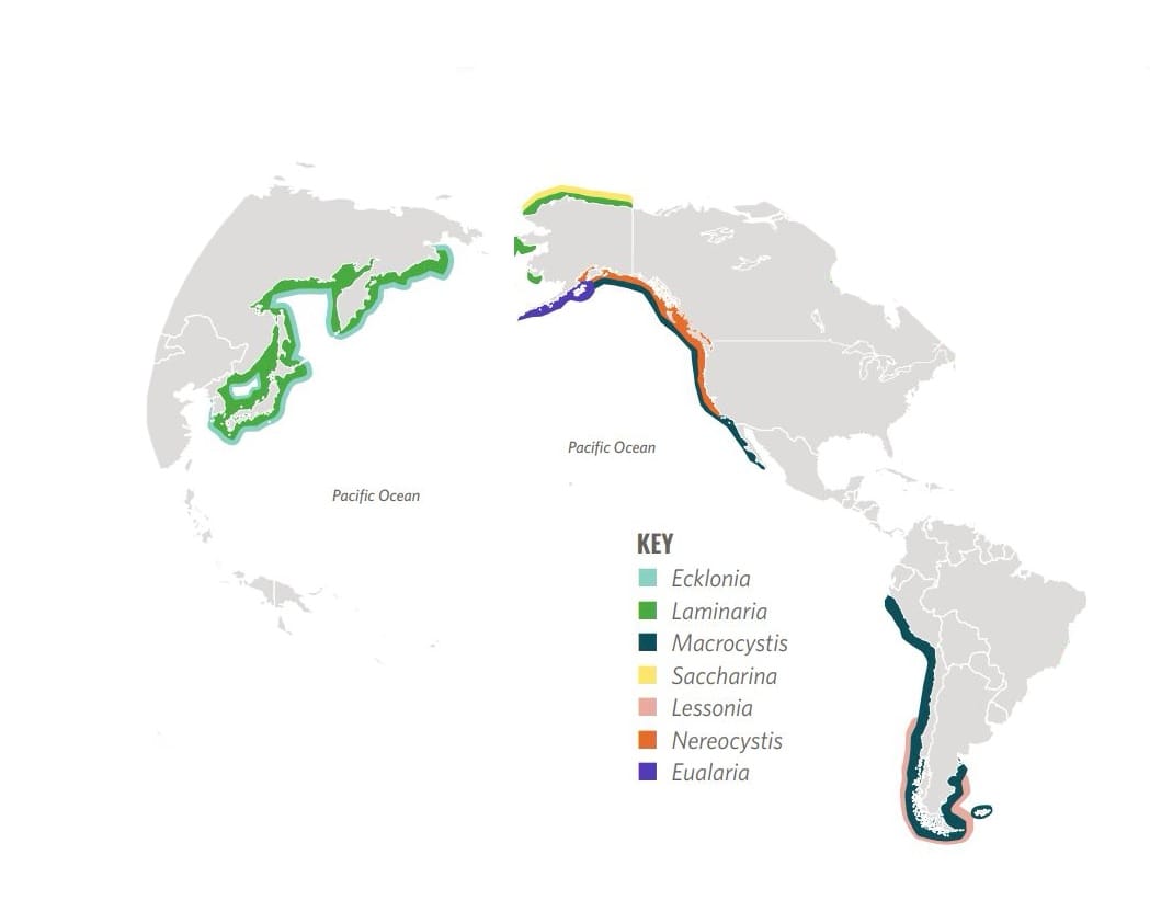 map of kelp distribution
