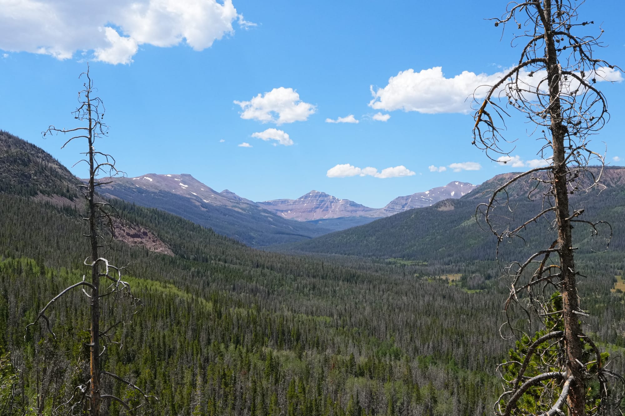 High Uintas