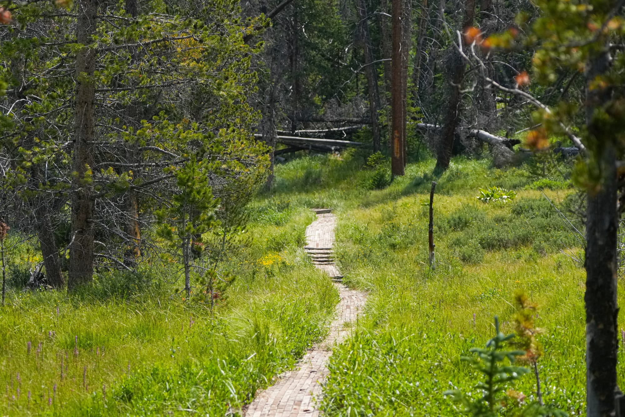 hiking trail