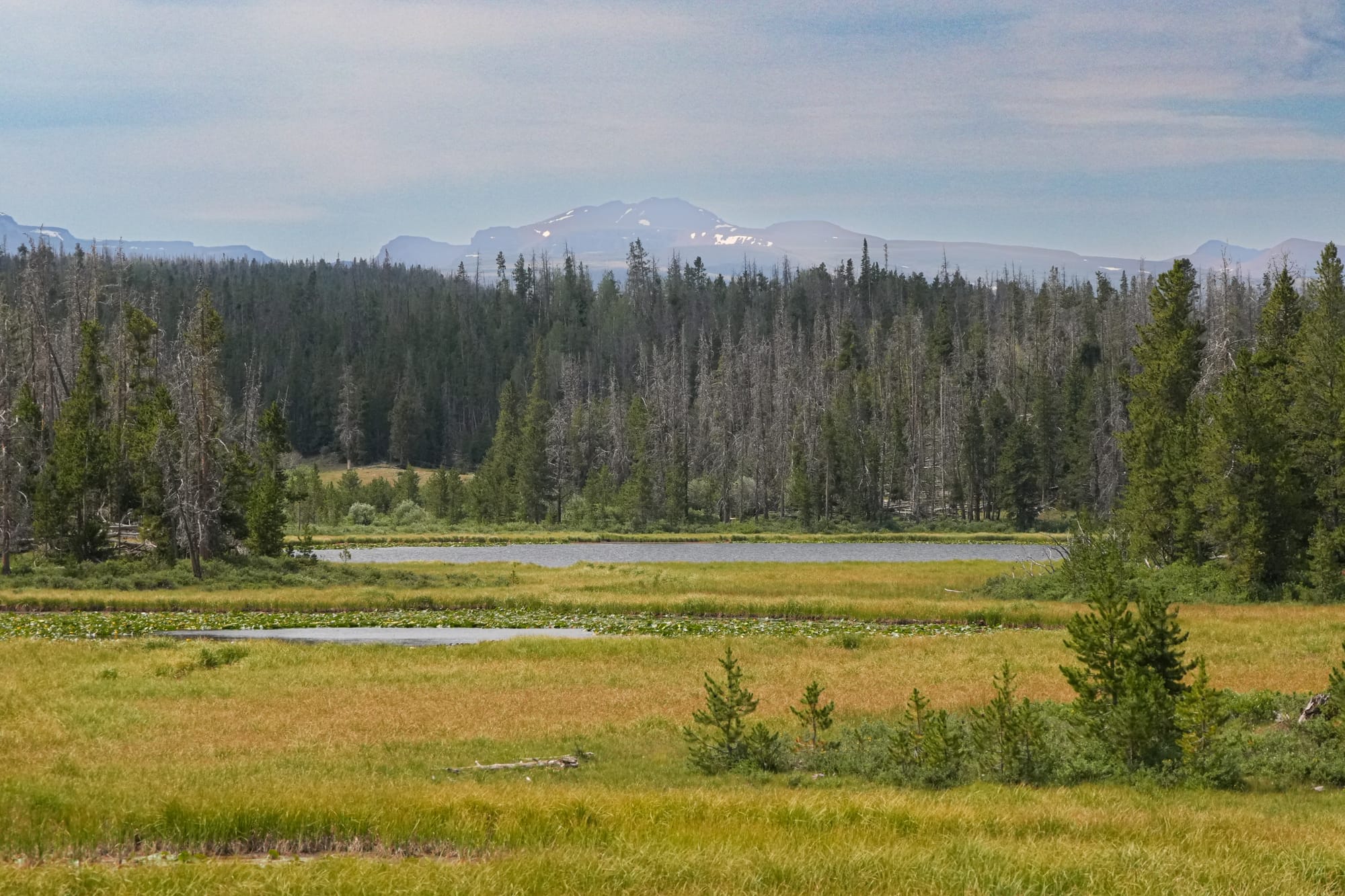 Uinta Mountains